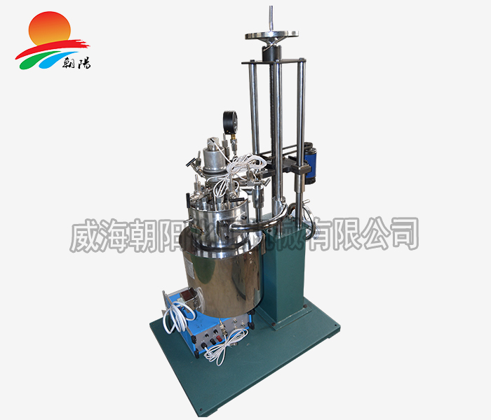 中南大學(xué)2L快開(kāi)式反應釜